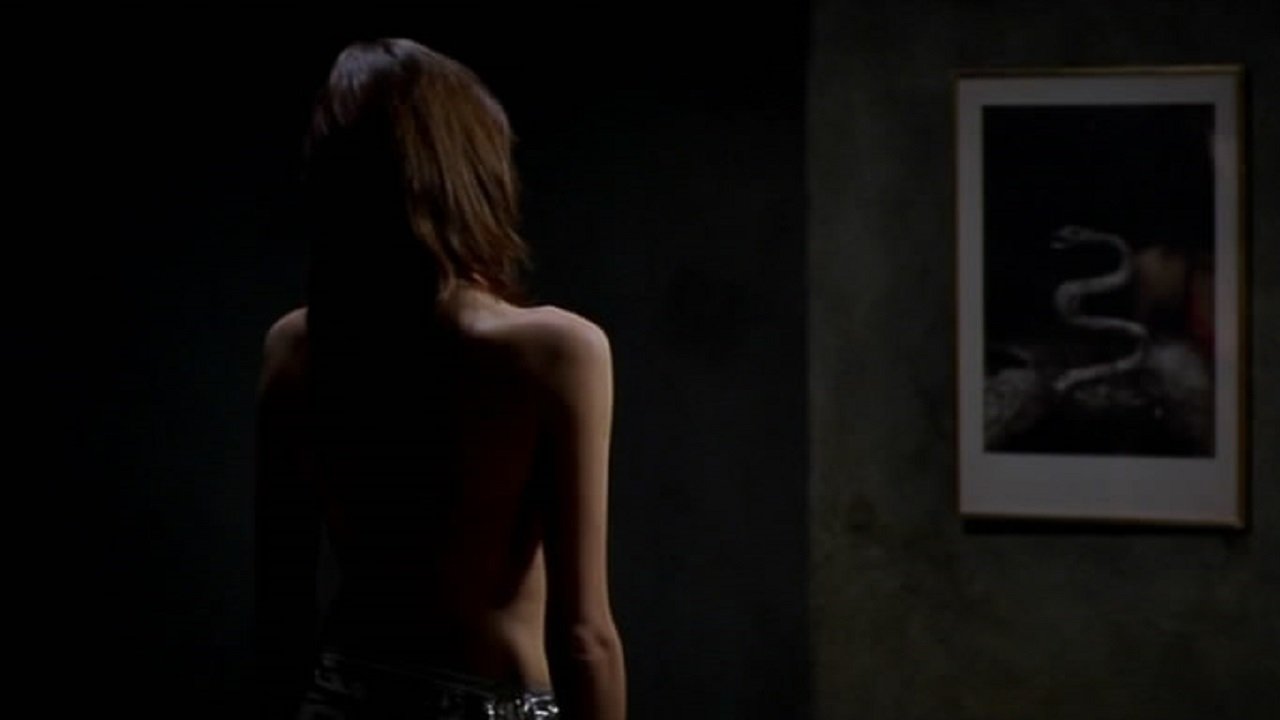 backdrops