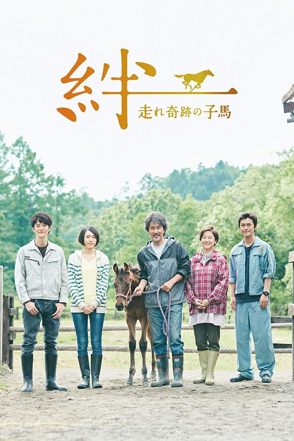 Poster de 絆~走れ奇跡の子馬~