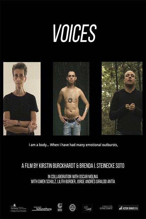 Poster de Voices