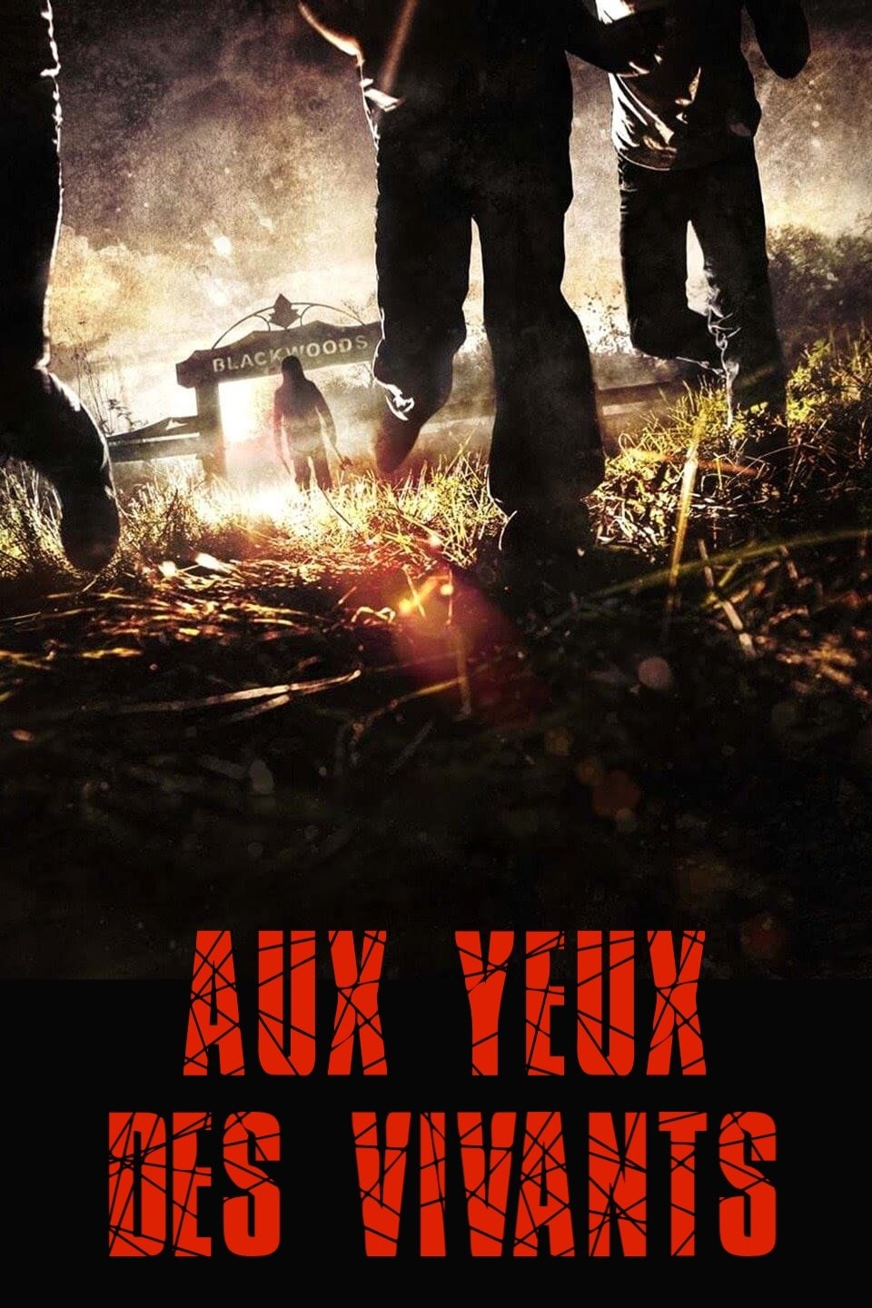 Poster de Aux yeux des vivants