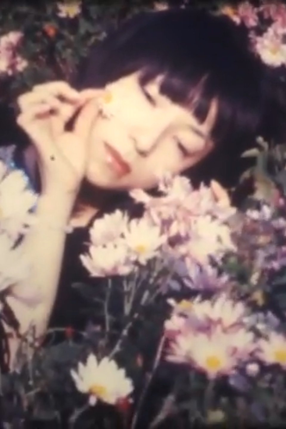 Poster de Chrysanthemum綺想