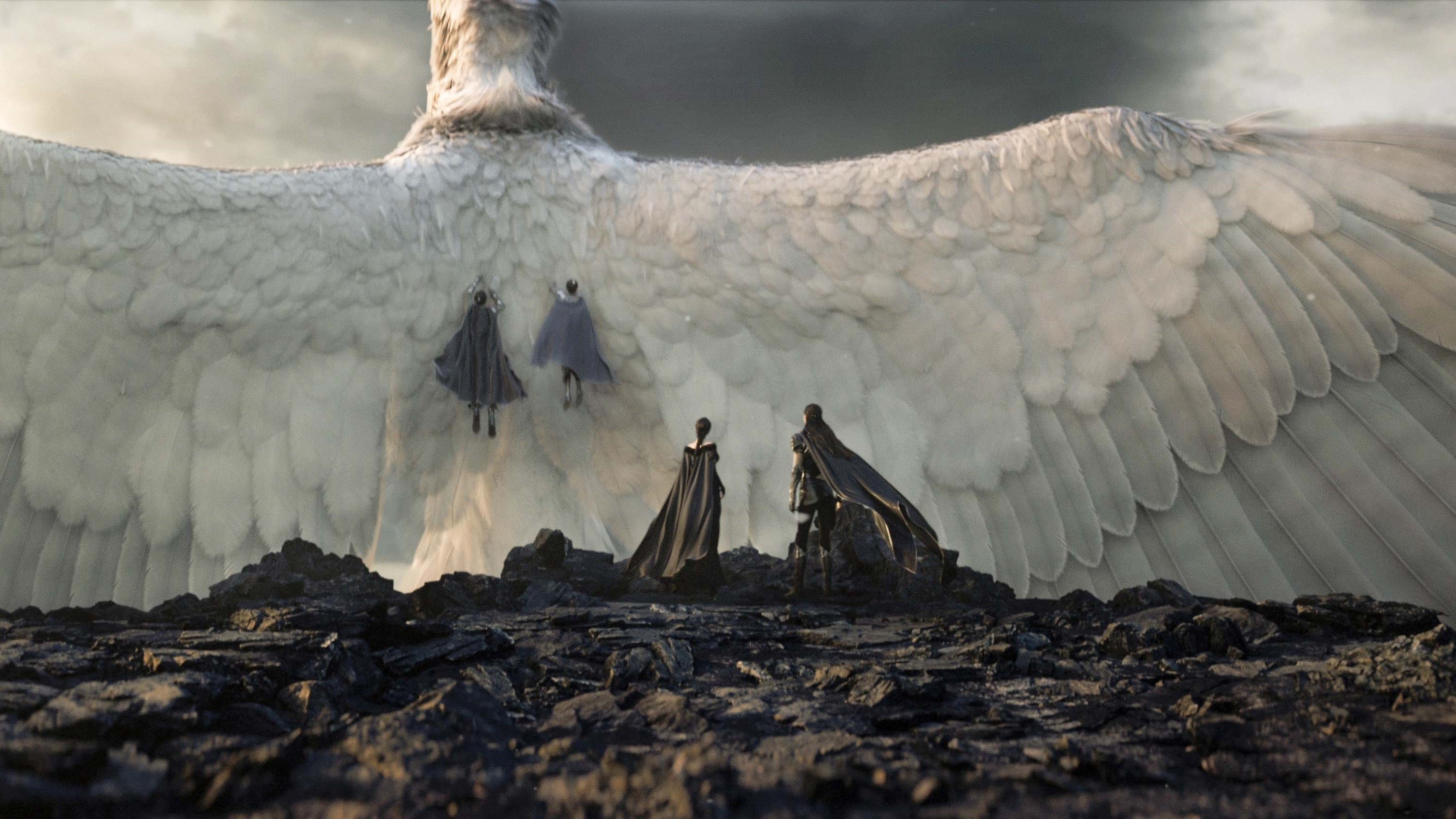 Backdrop image