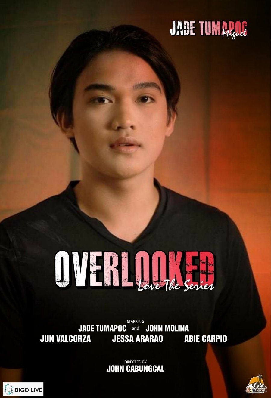 Poster de Overlooked Love the Series