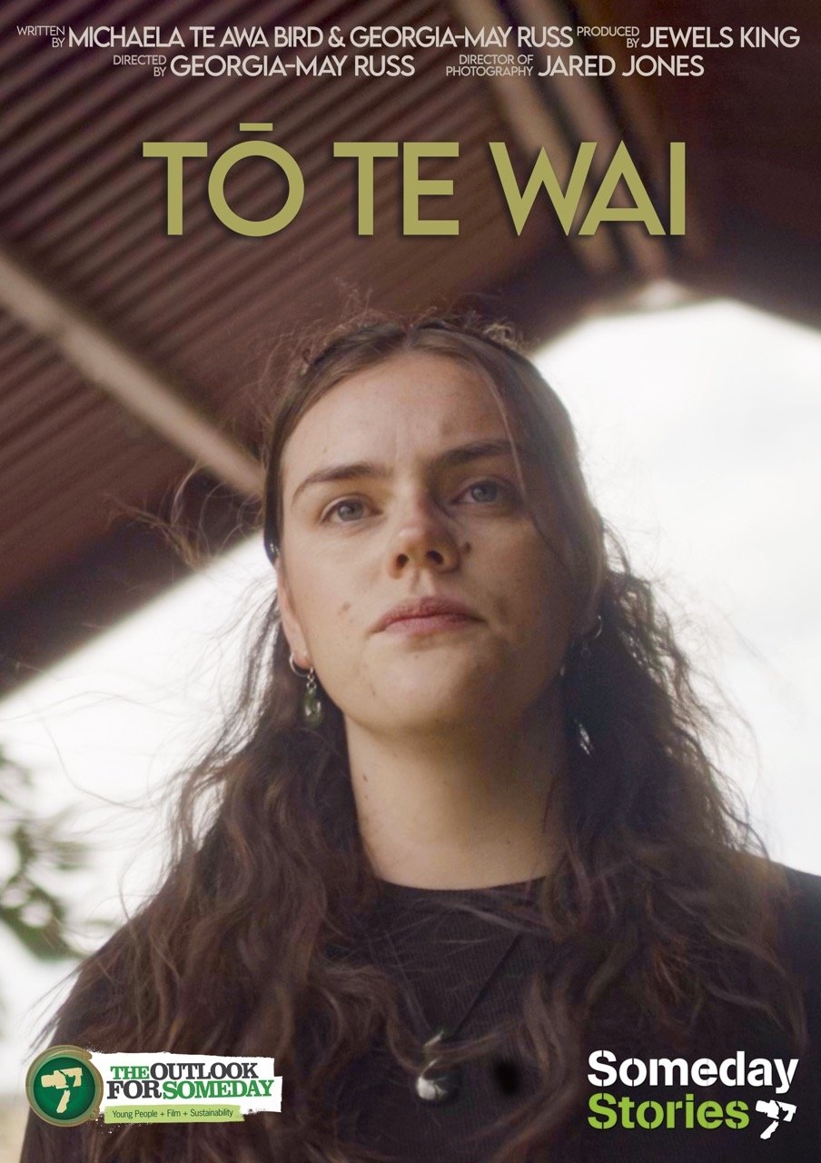 Poster de Tō Te Wai