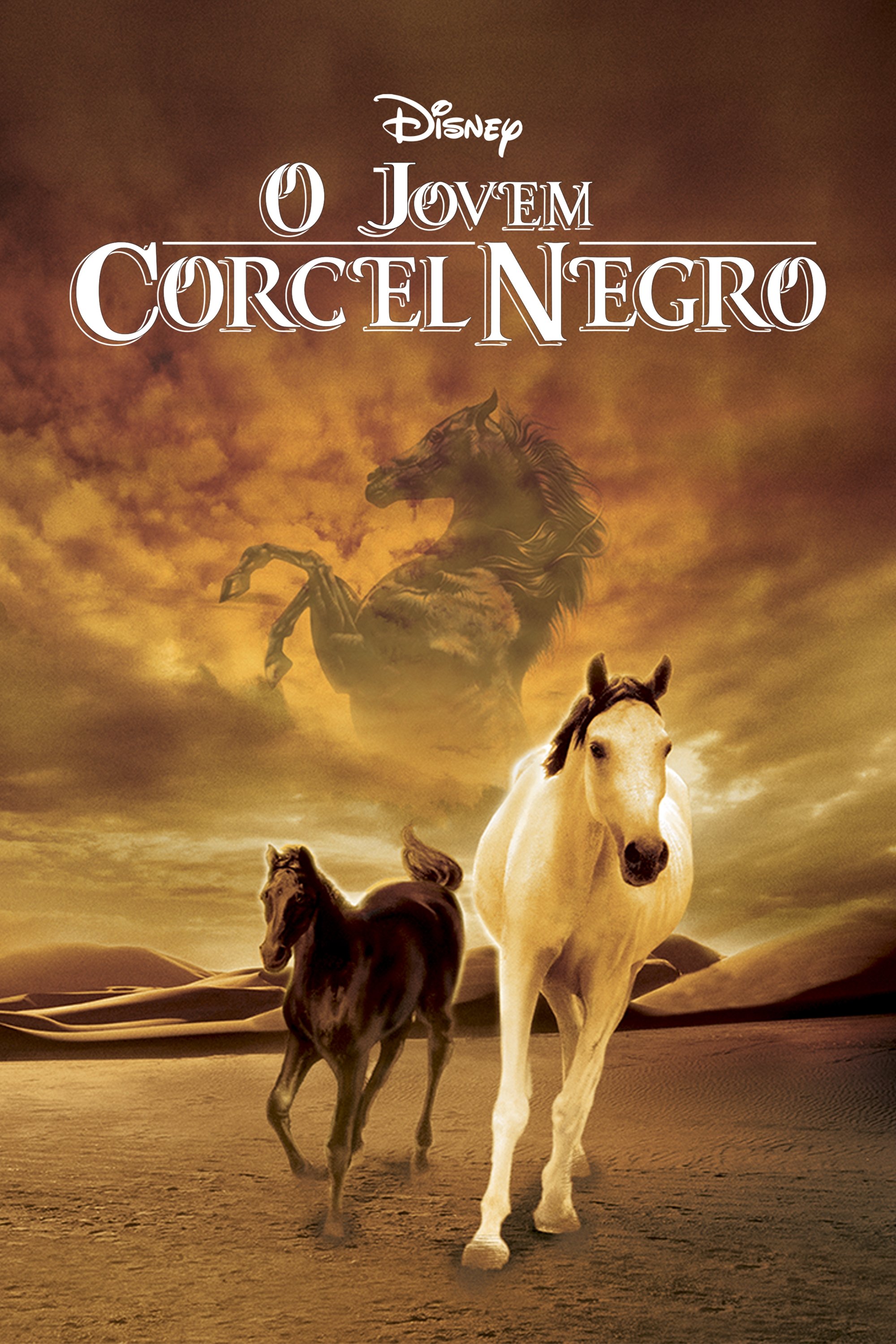 Poster de O Jovem Corcel Negro
