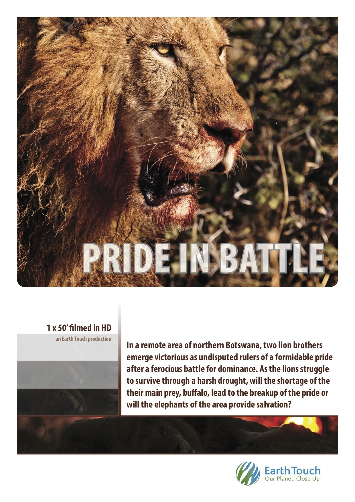 Poster de Pride in Battle