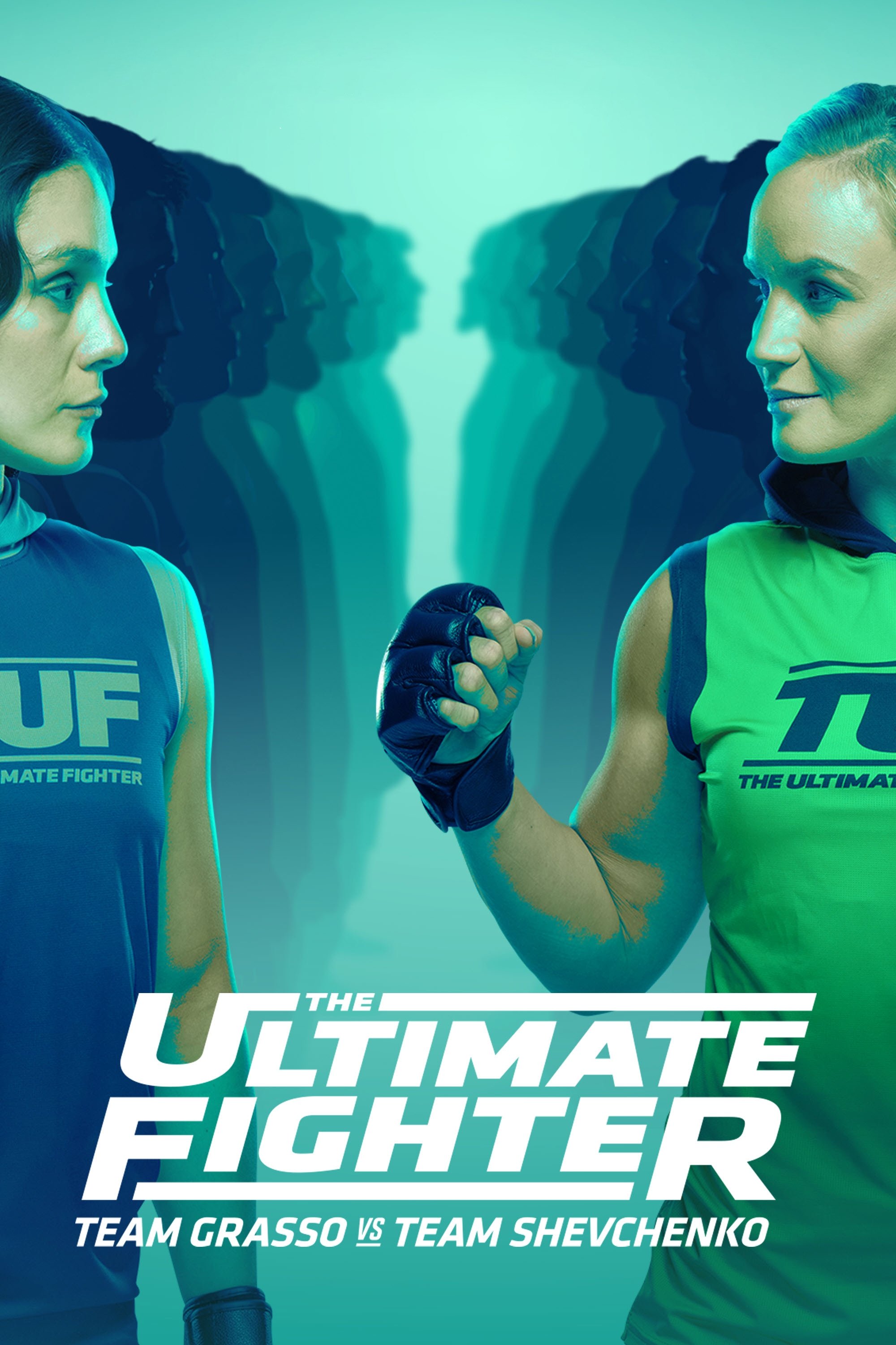 Poster de Temporada 32