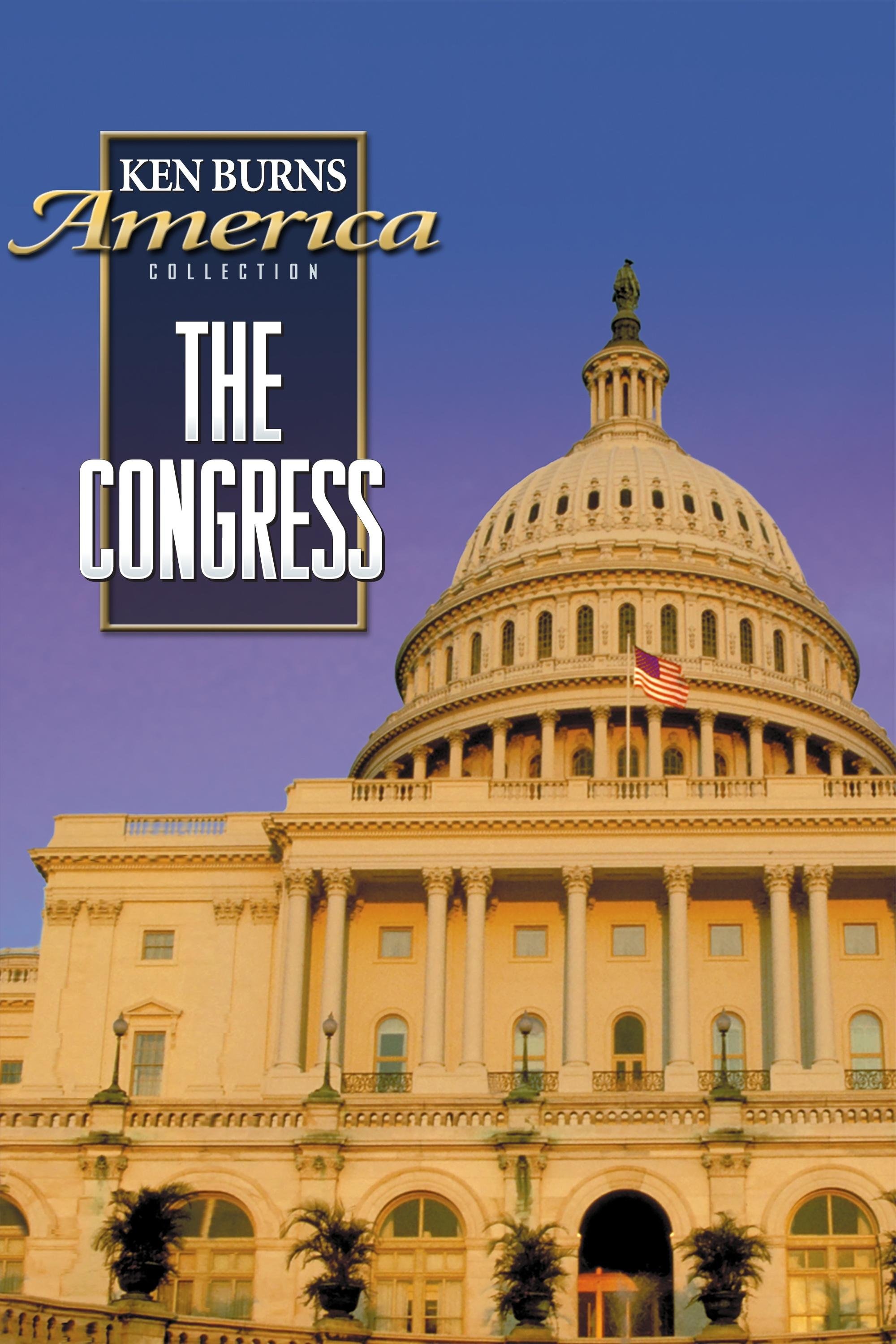 Poster de The Congress