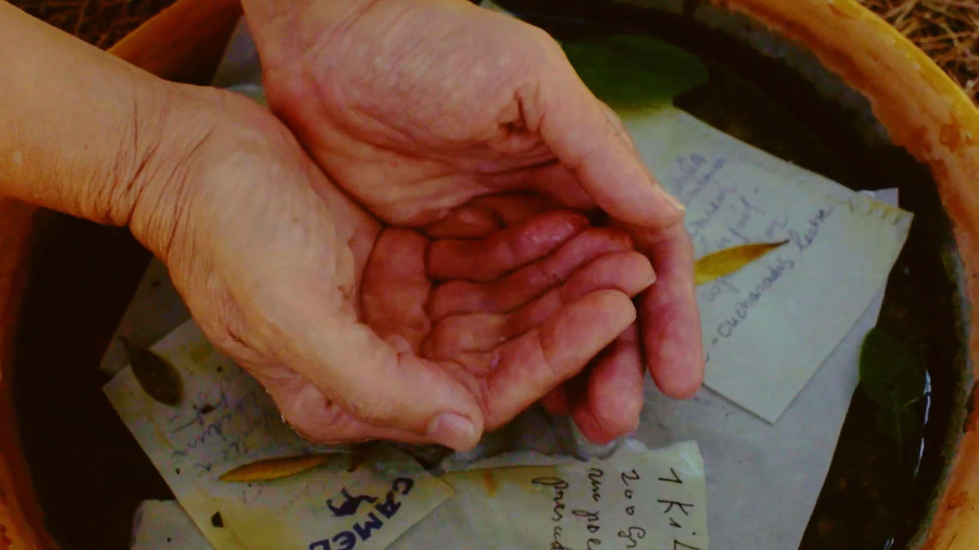 María Antonia Jaume