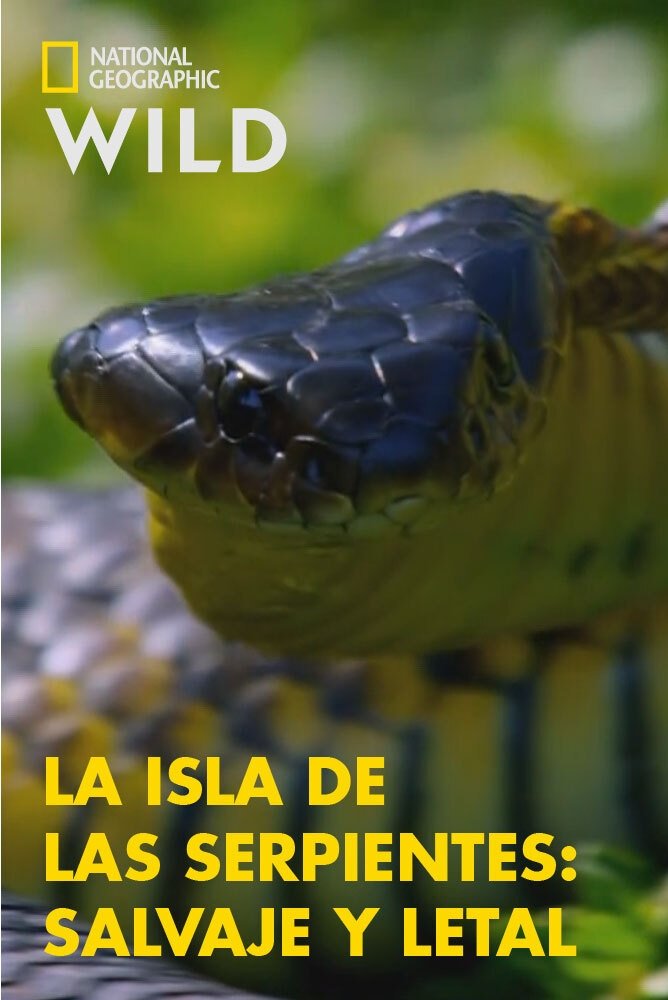 Poster de Ilha das Cobras