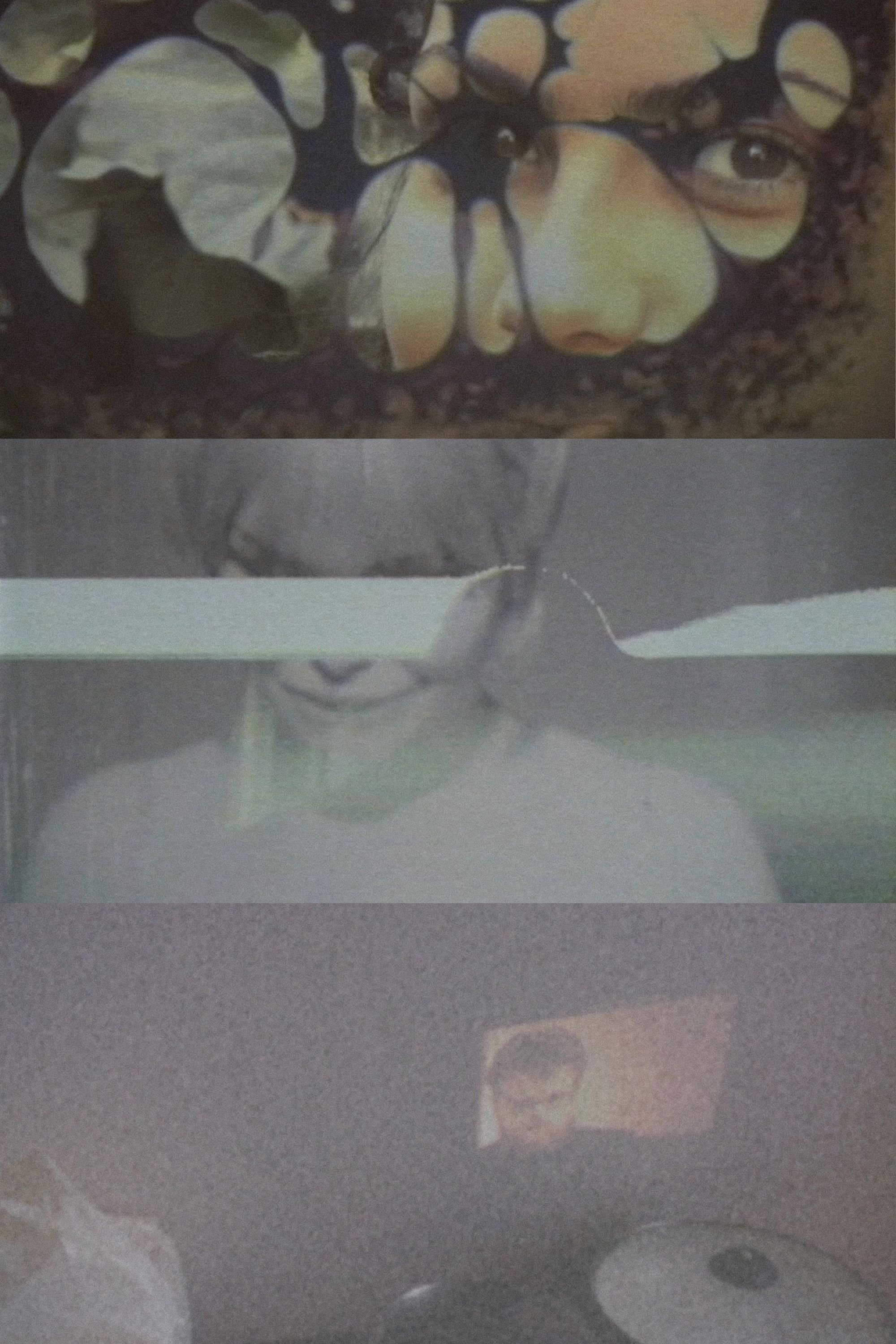 Poster de Self Decapitation