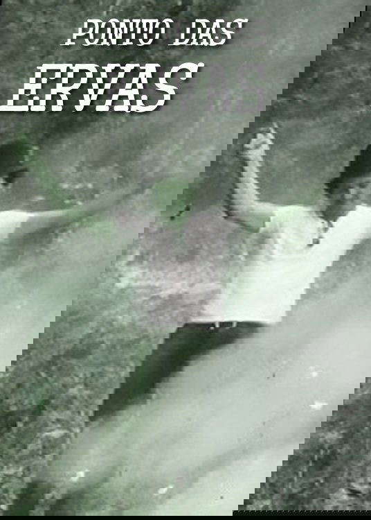 Poster de Ponto das Ervas