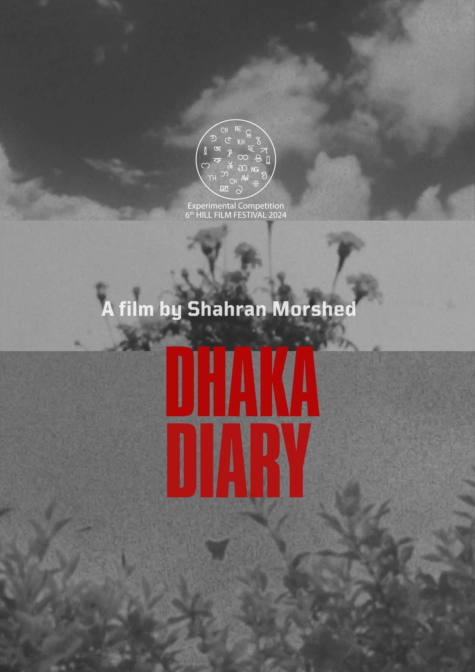 Poster de Dhaka Diary