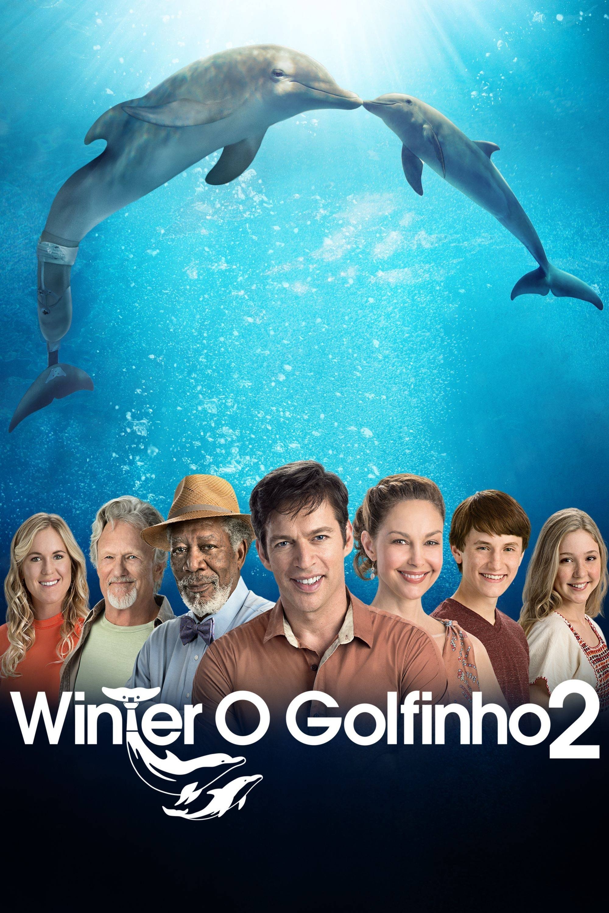Poster de Winter, o Golfinho 2