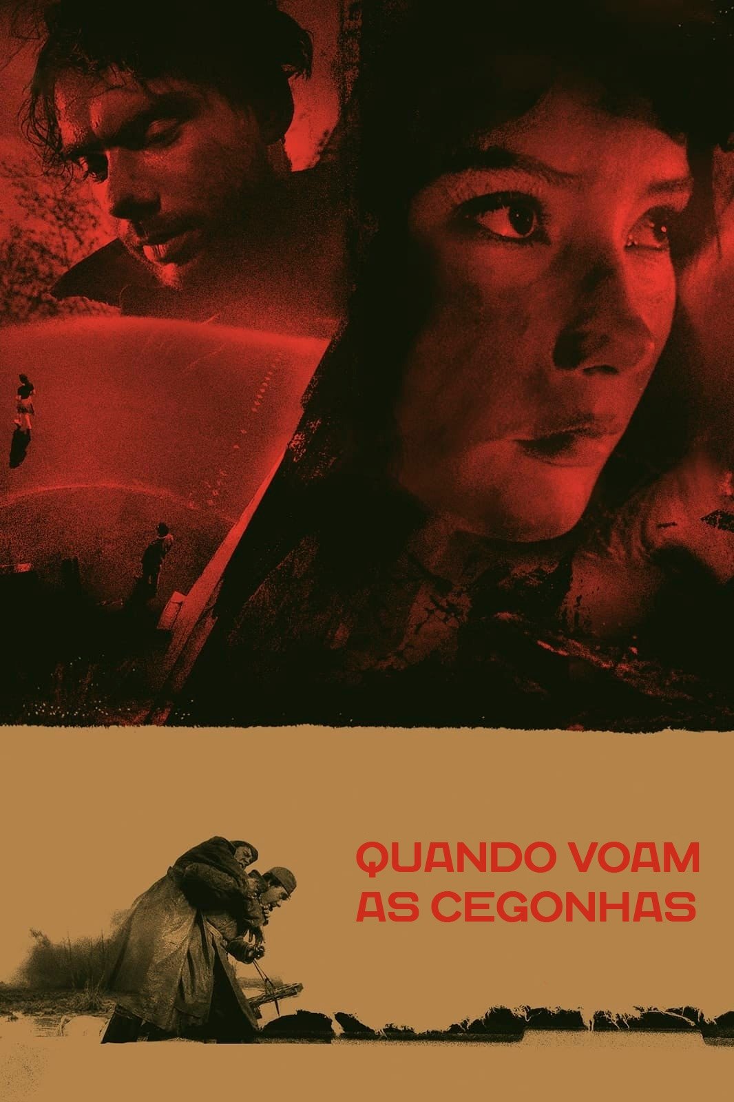 Poster de Quando Voam as Cegonhas
