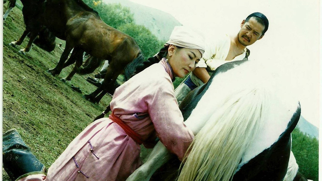 Director