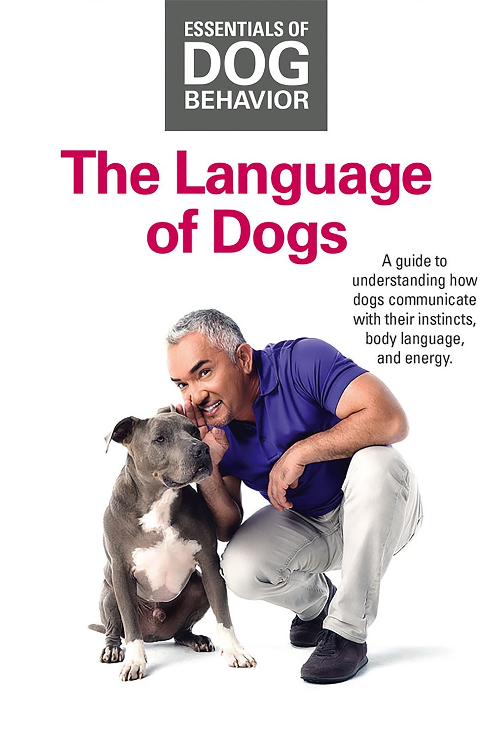 Poster de Essentials of Dog Behavior: The Language of Dogs
