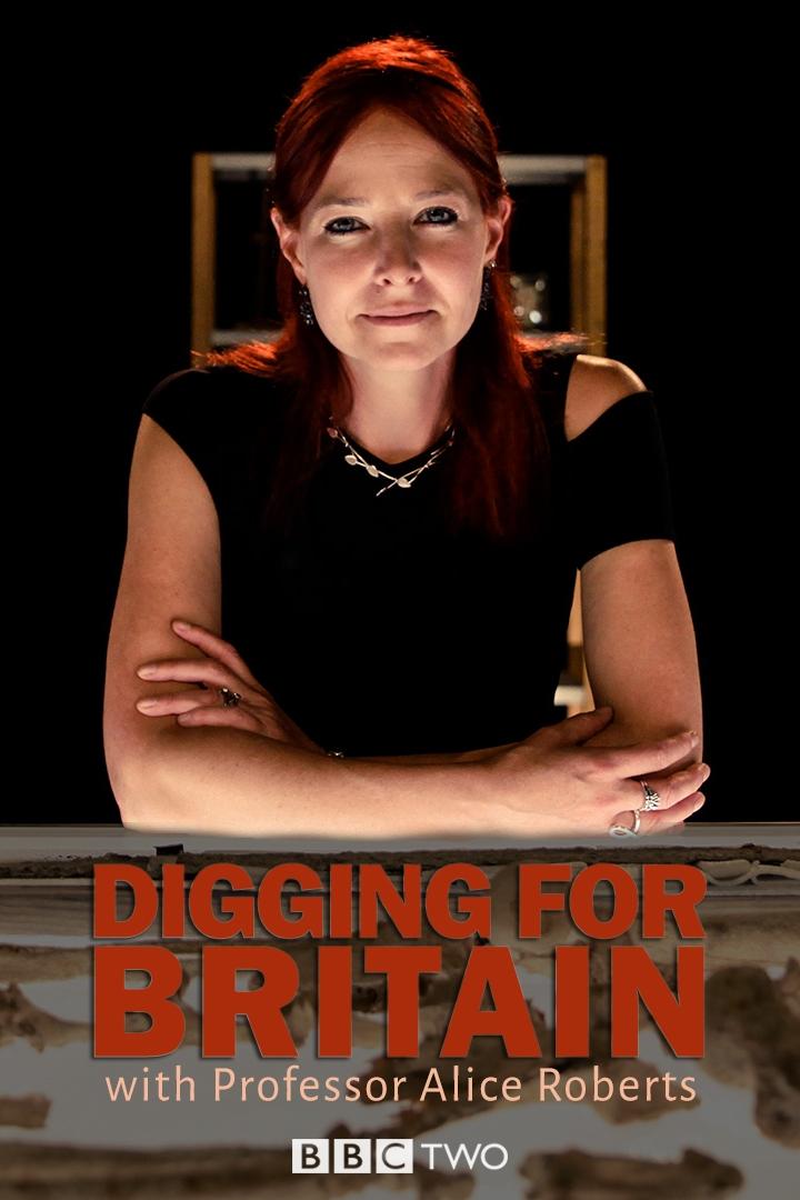Poster de Digging for Britain