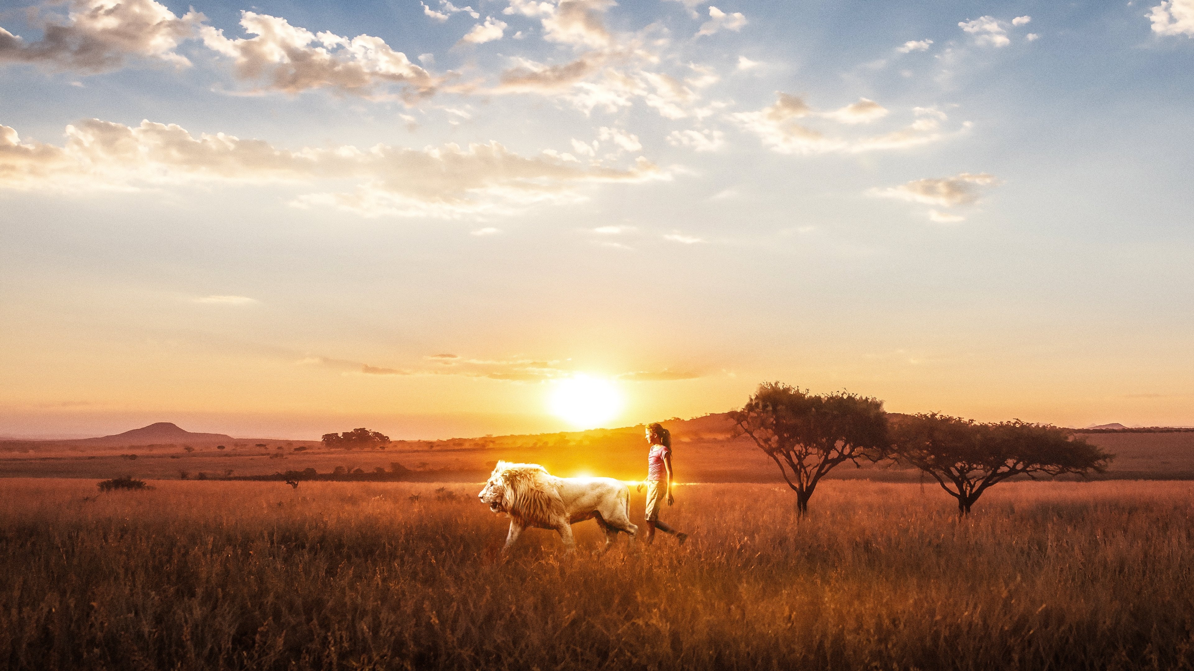 Backdrop image