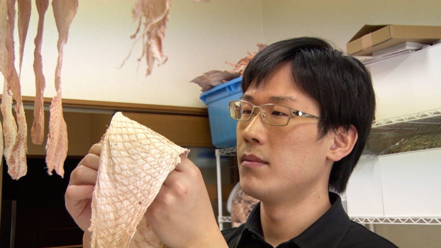 Upcycling Fish Scales into High-End Leather: Fish Leather Pioneer - Noguchi Tomohisa