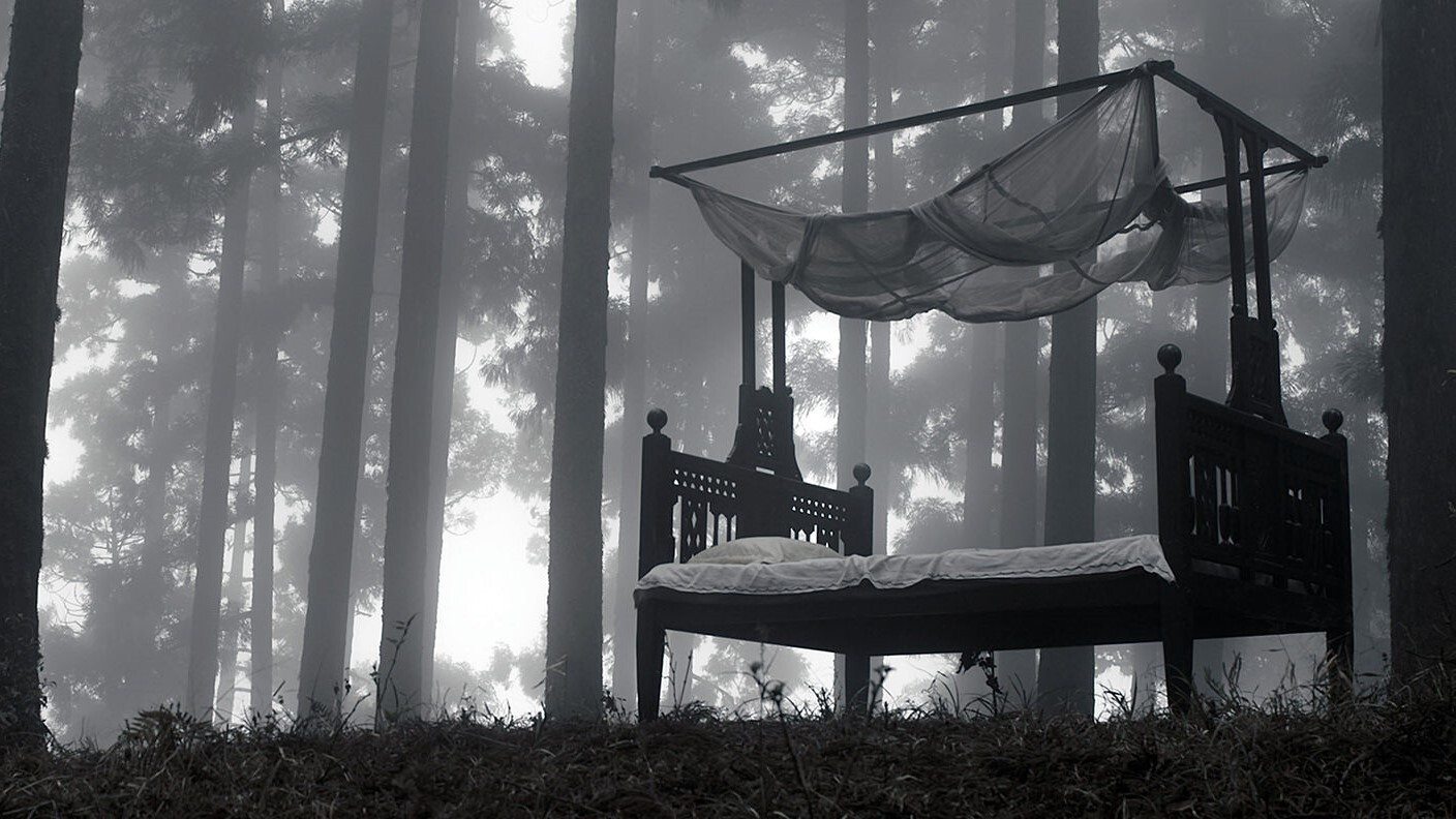 backdrops