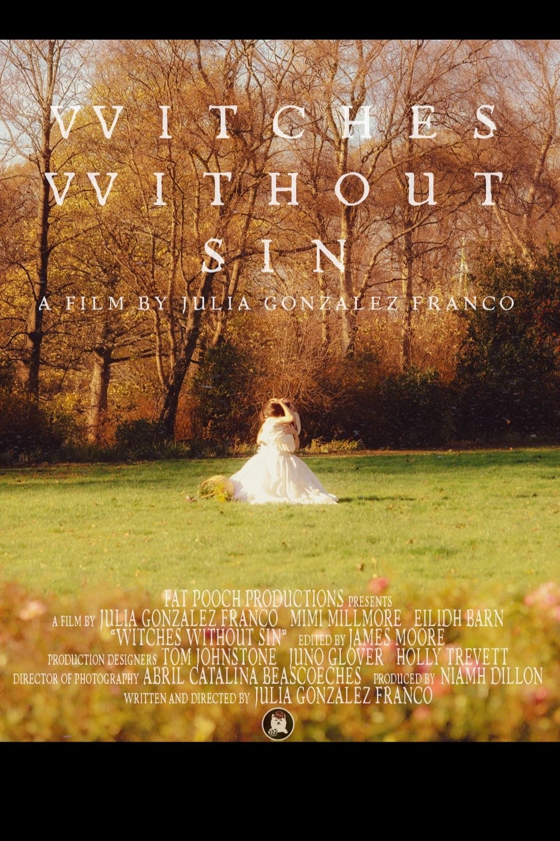 Poster de Witches Without Sin
