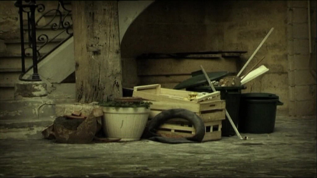 City Caterpillar Butterfly Of The Fields