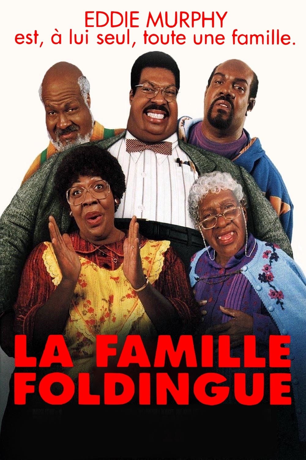 Affiche du film La Famille Foldingue
