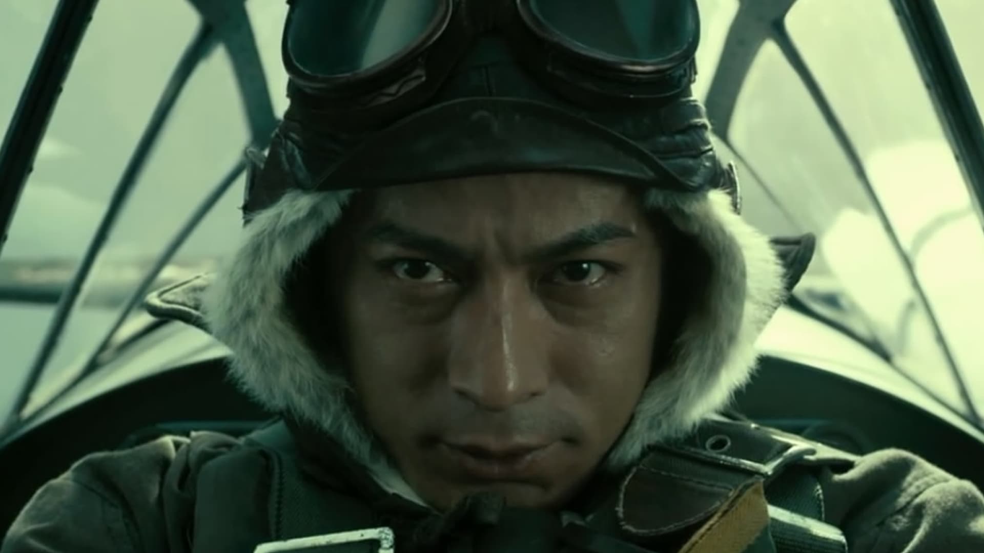 The Fighter Pilot 2013 123movies