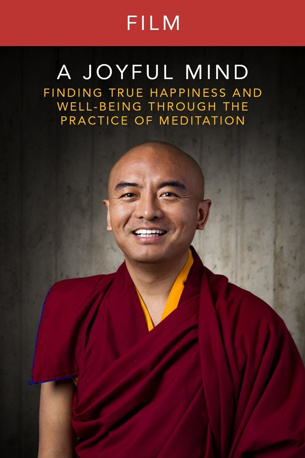 Poster de A Joyful Mind - Finding true happiness through the practice of meditation