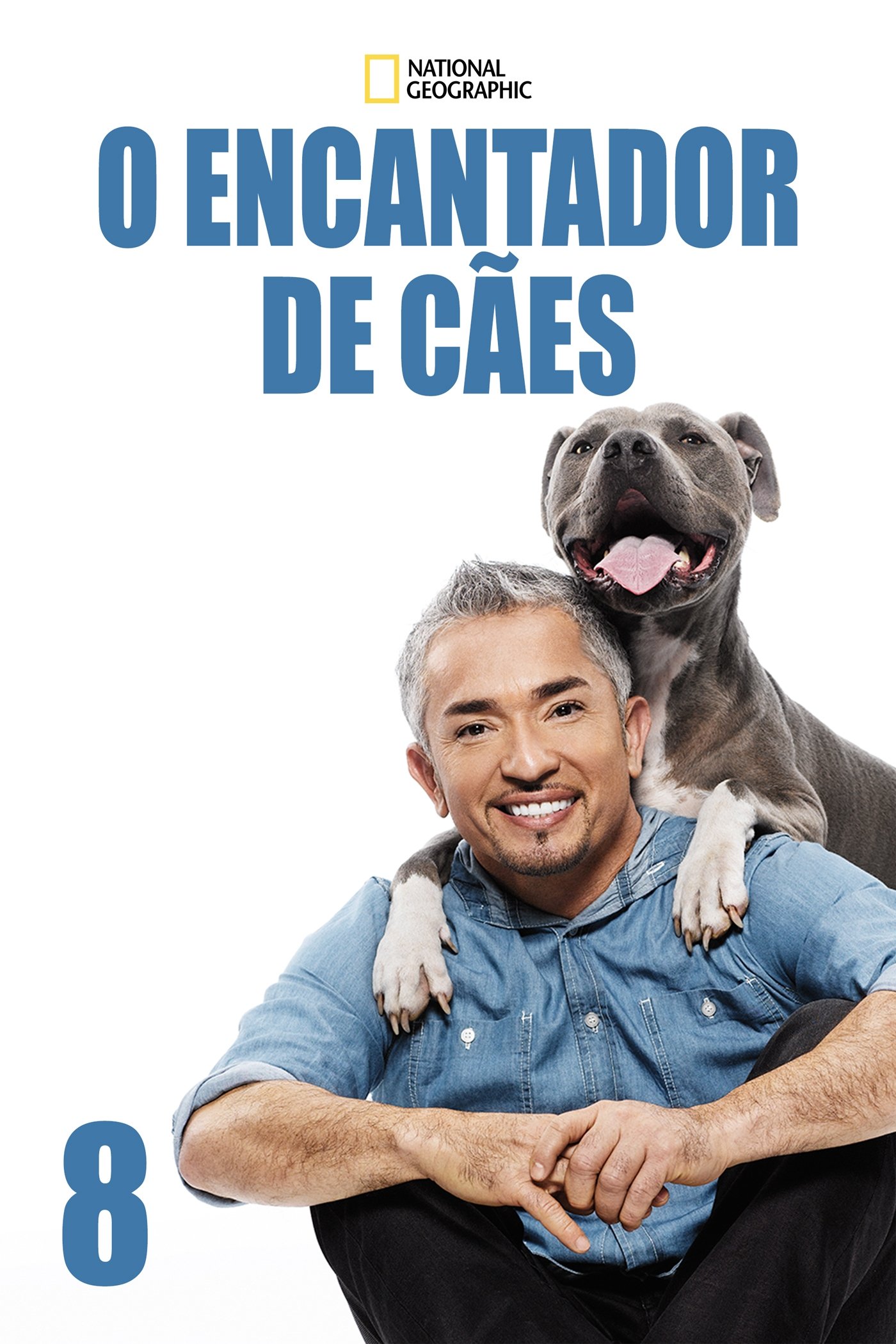 Poster de Temporada 8