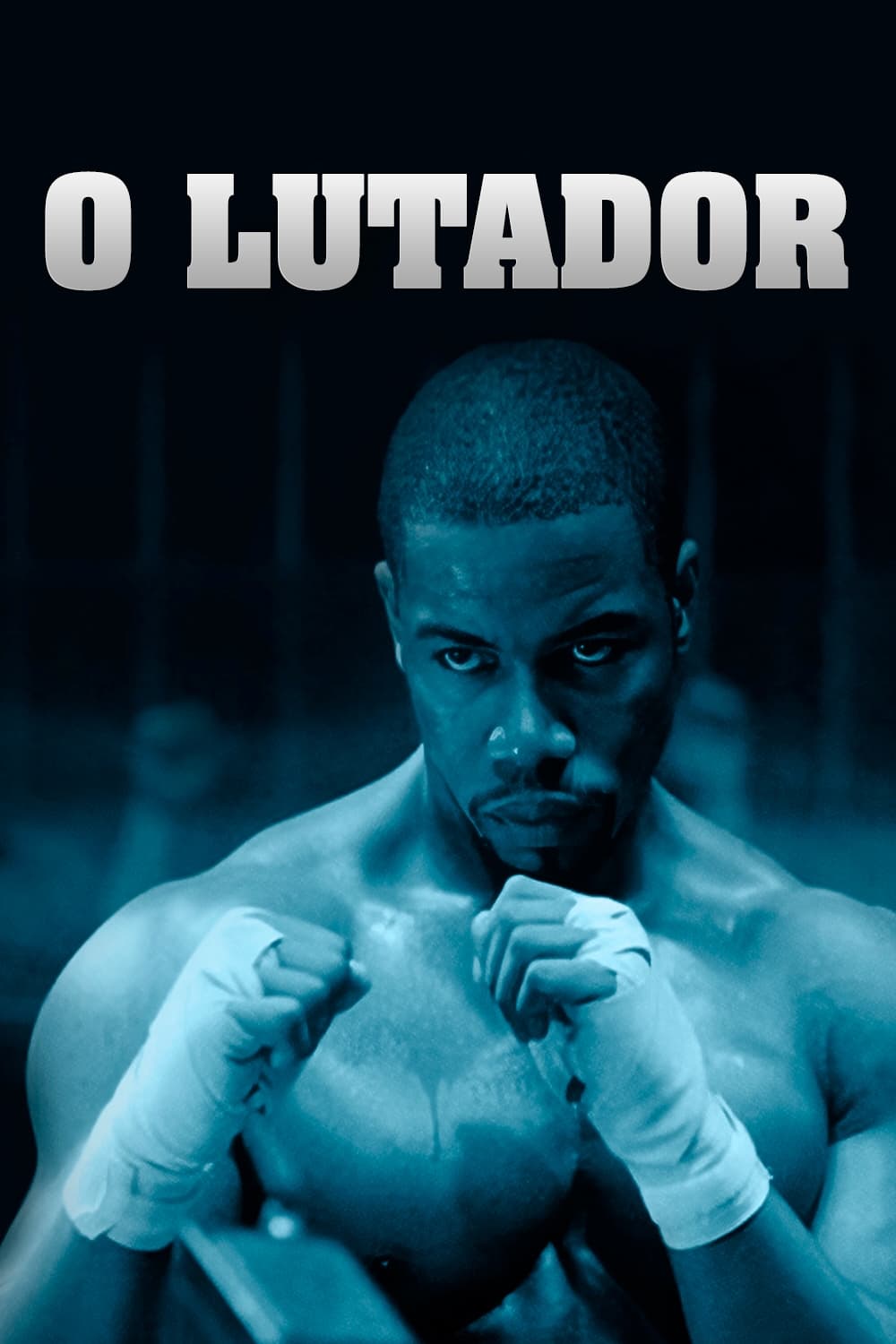 Poster de O Lutador