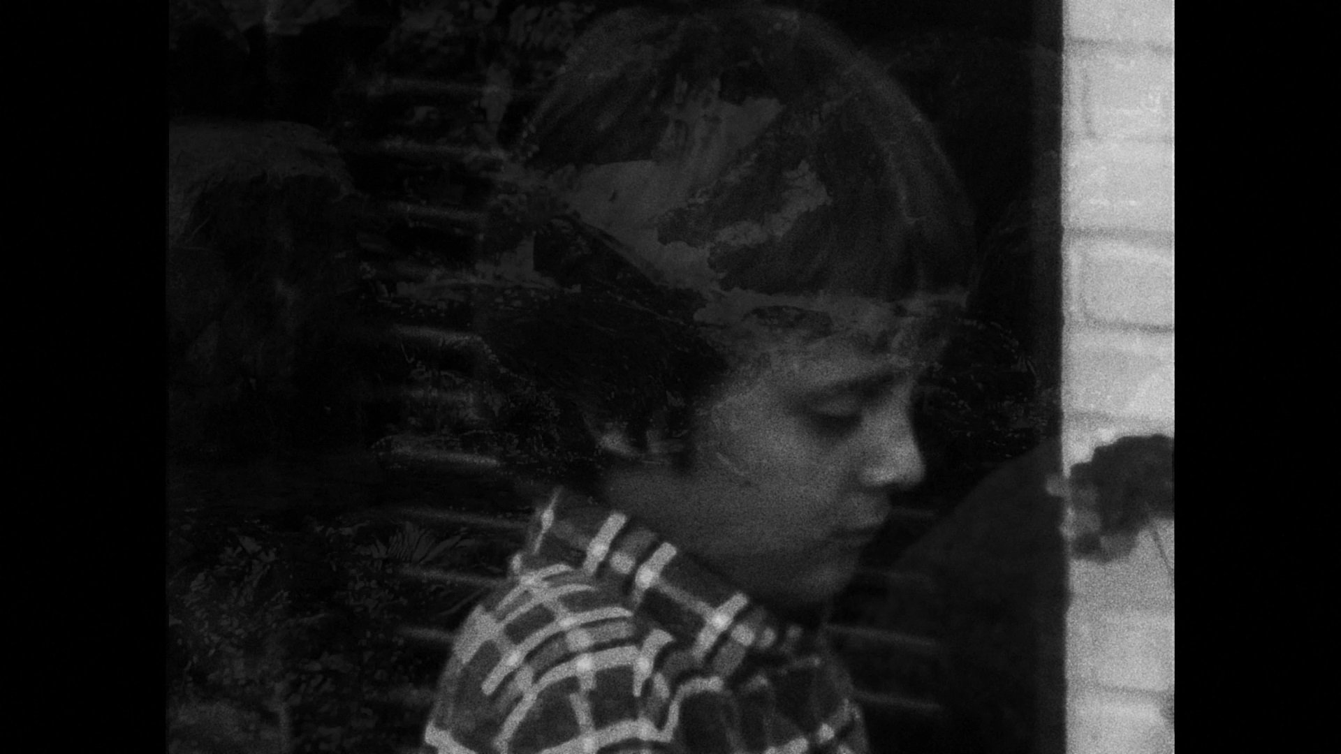 Gabriel S. de Oliveira