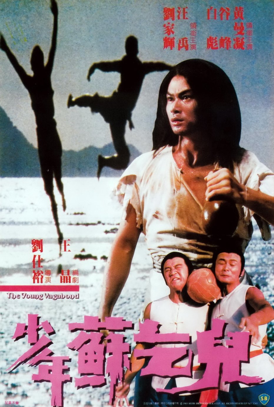 Poster de The Young Vagabond
