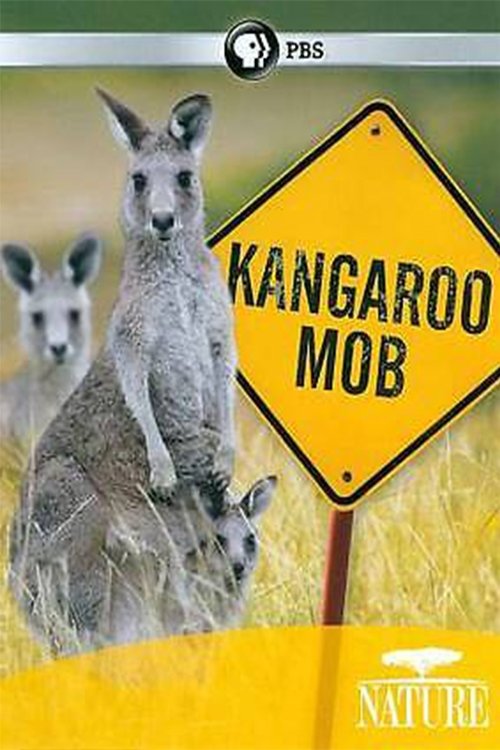 Kangaroo Mob