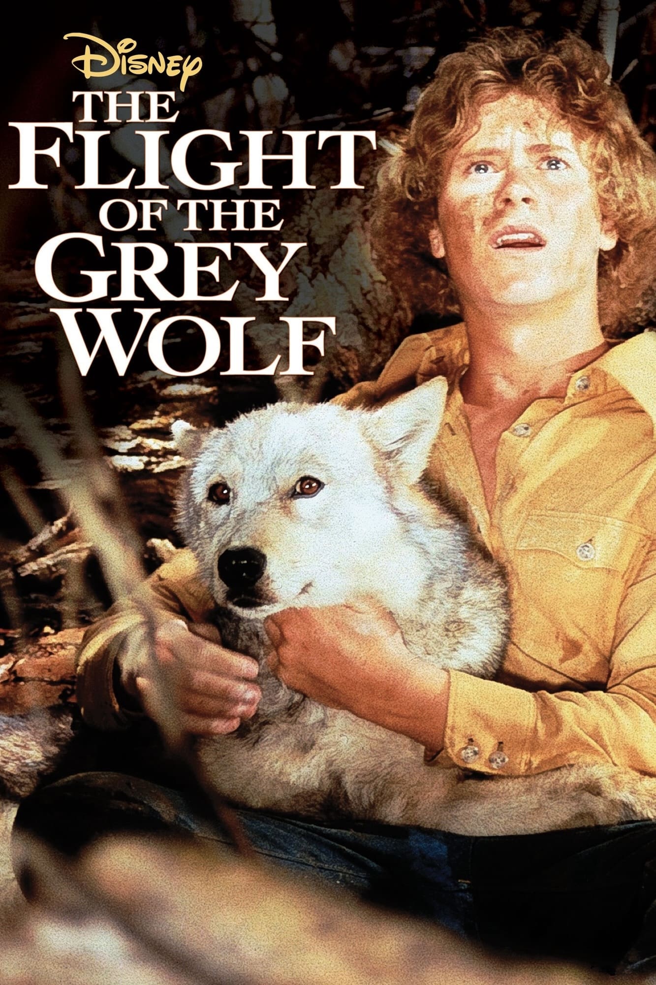 Poster de Meu Amigo Lobo