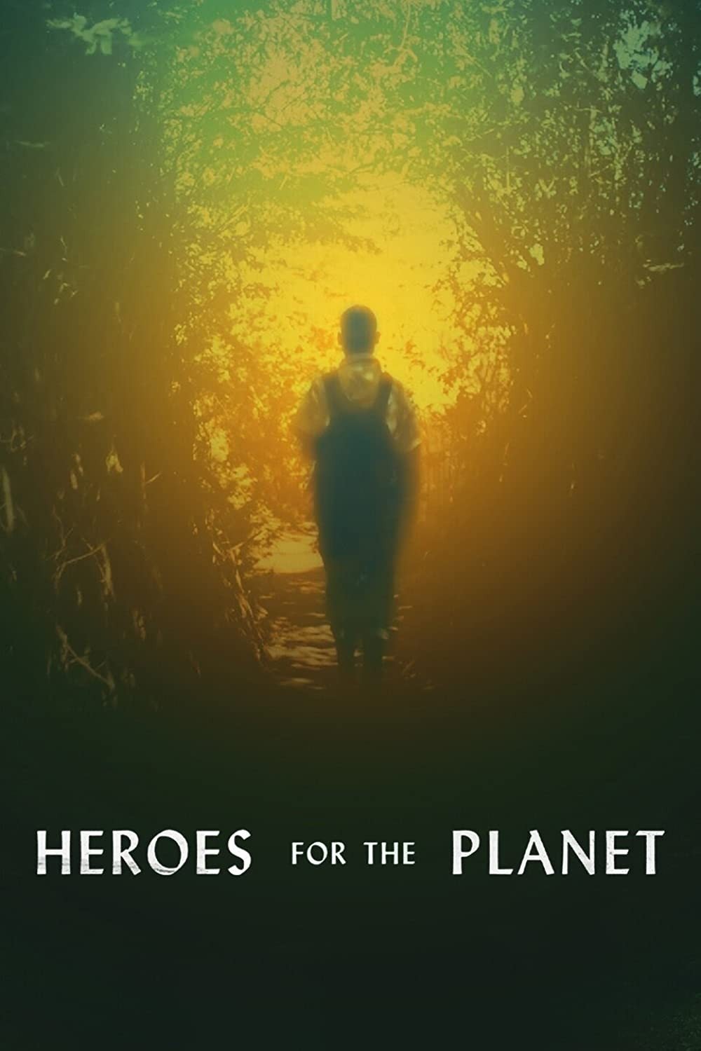 Poster de Heroes for the Planet
