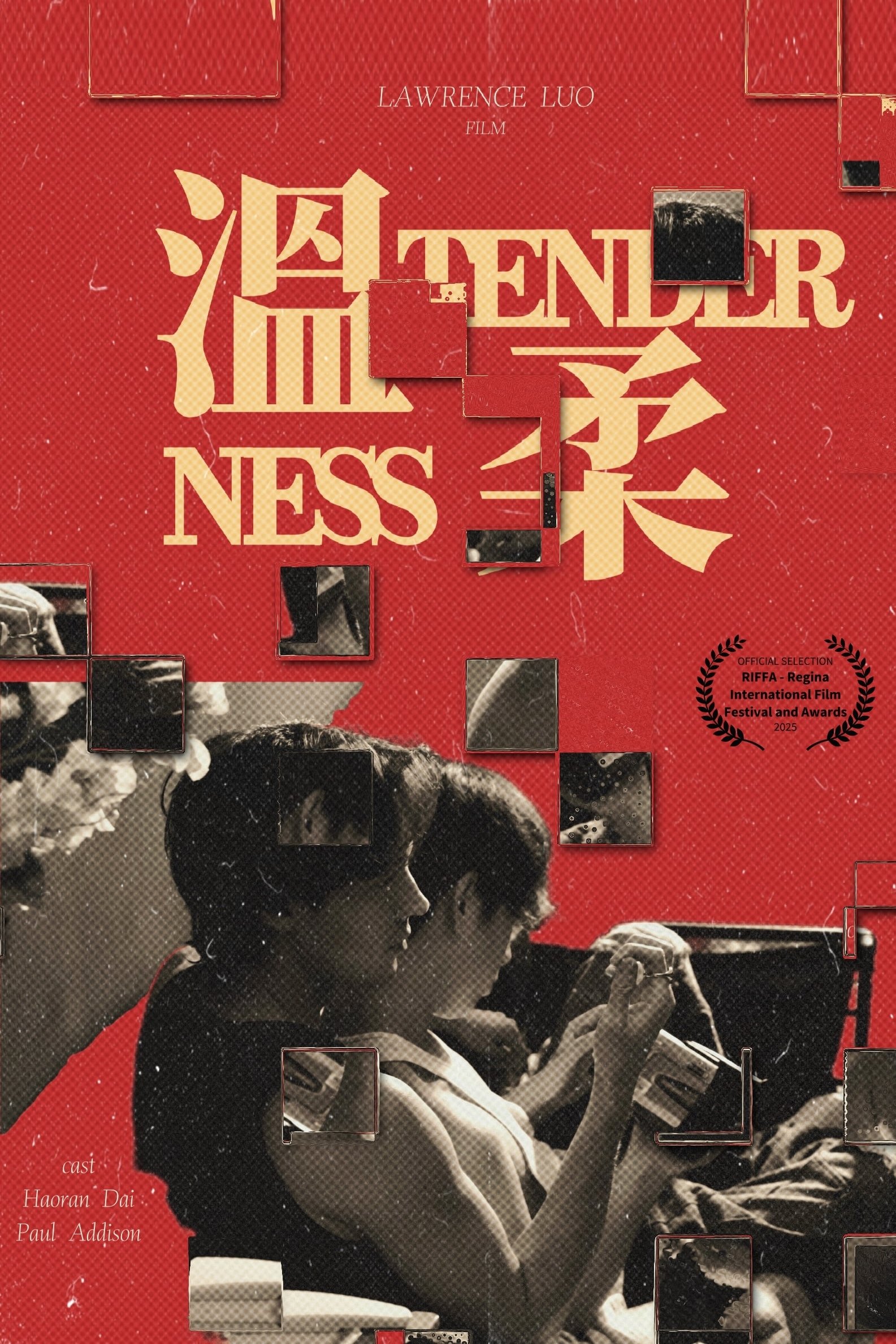Poster de Tenderness
