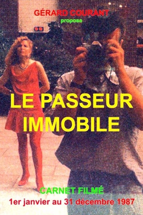 Affiche du film Le Passeur immobile