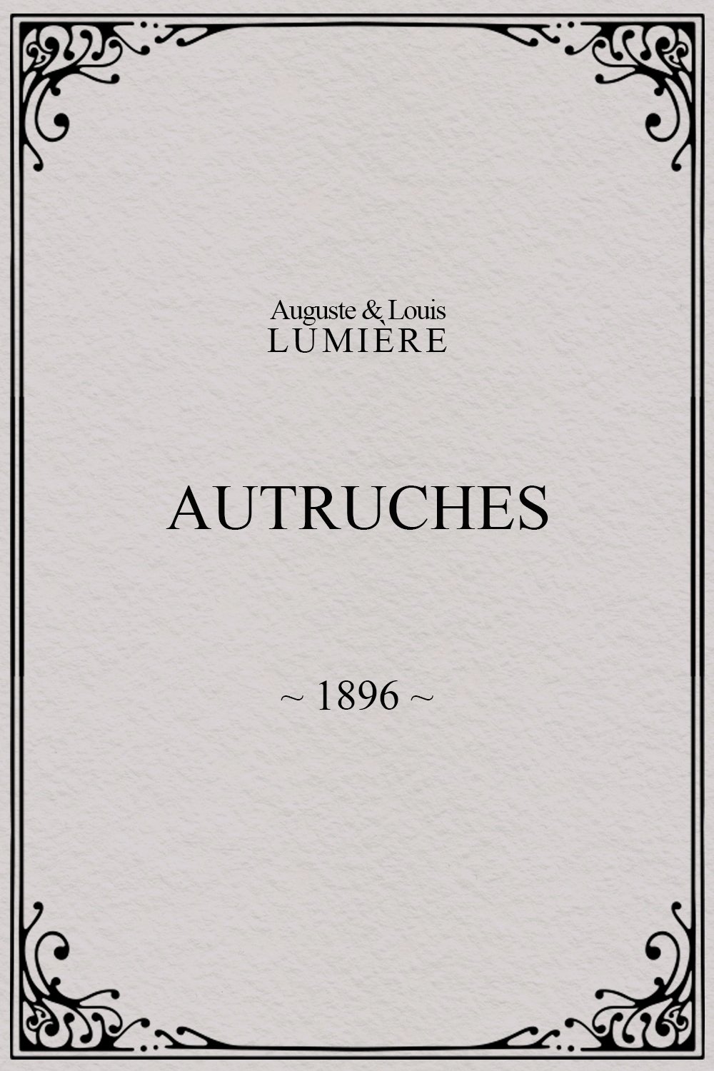 Poster de Autruches