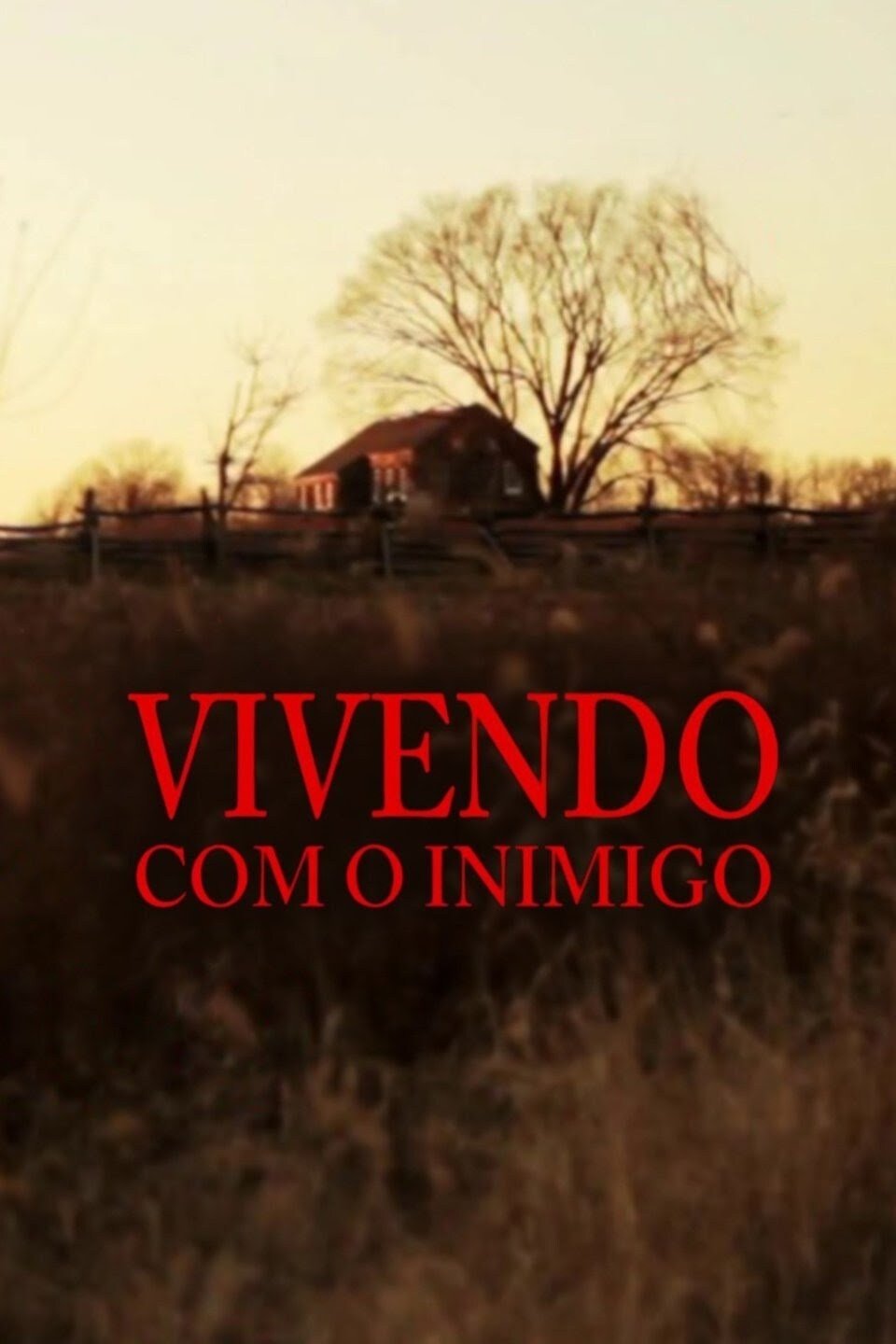 Poster de Vivendo com o Inimigo
