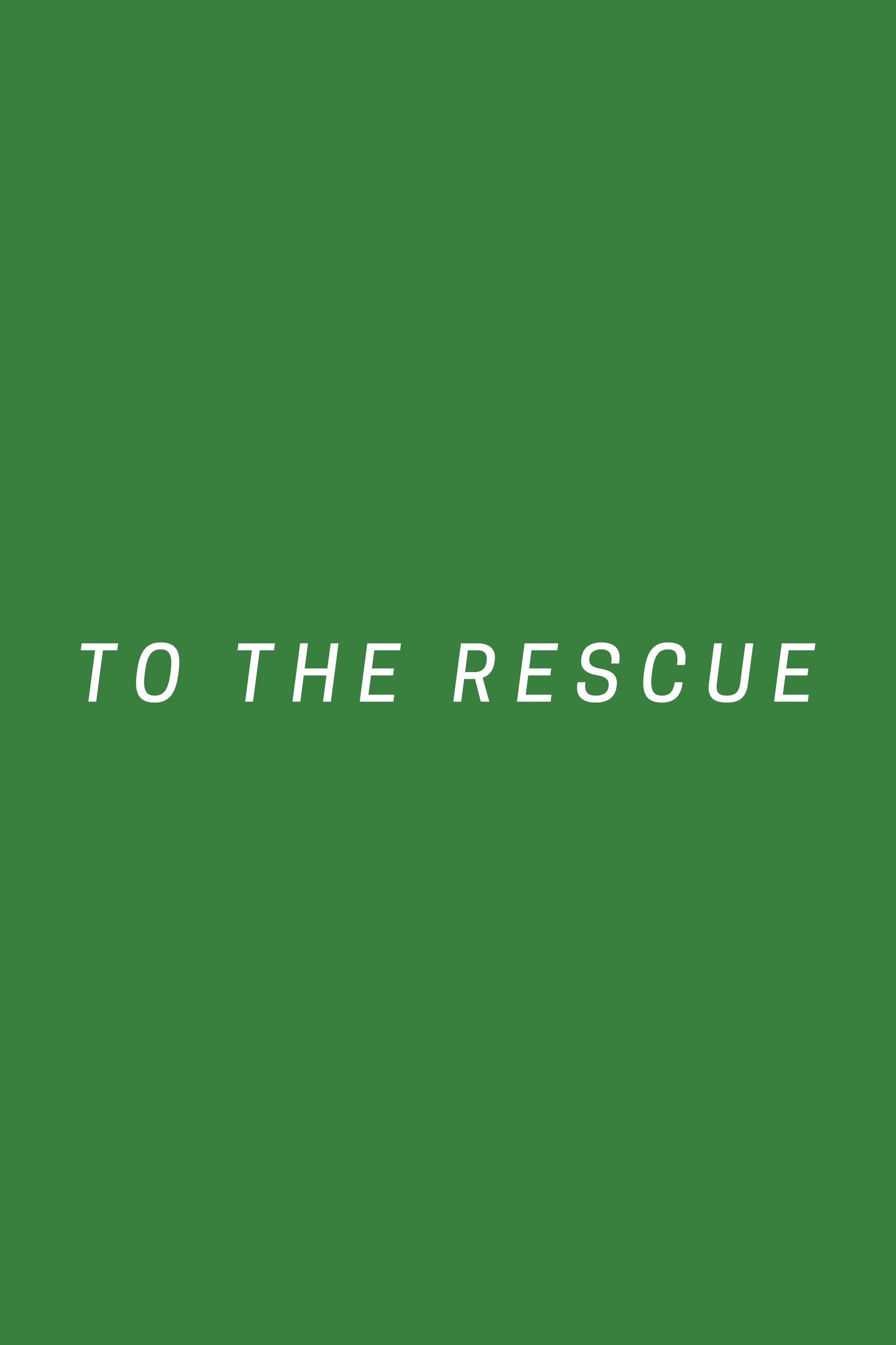 To The Rescue