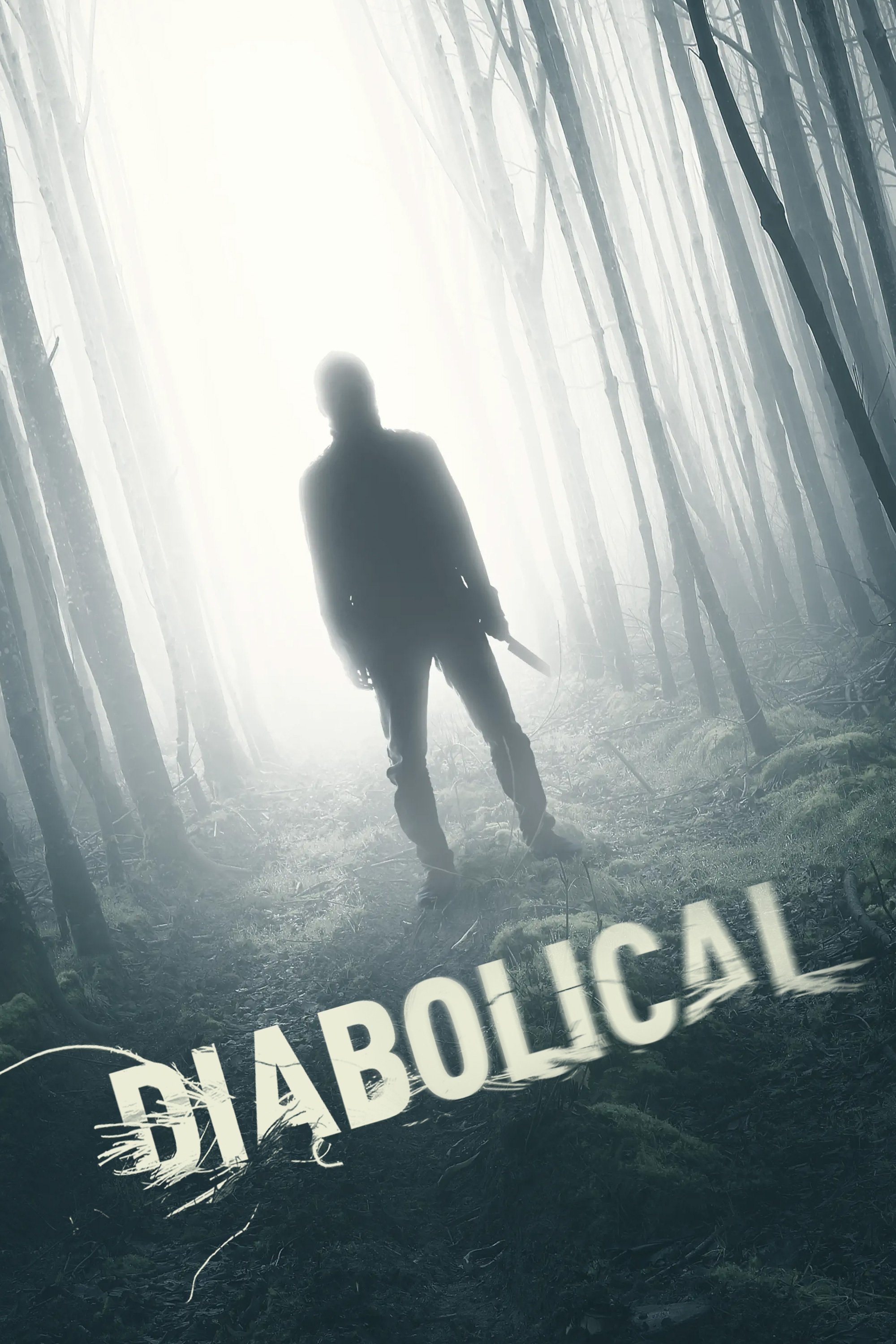 Poster de Diabolical