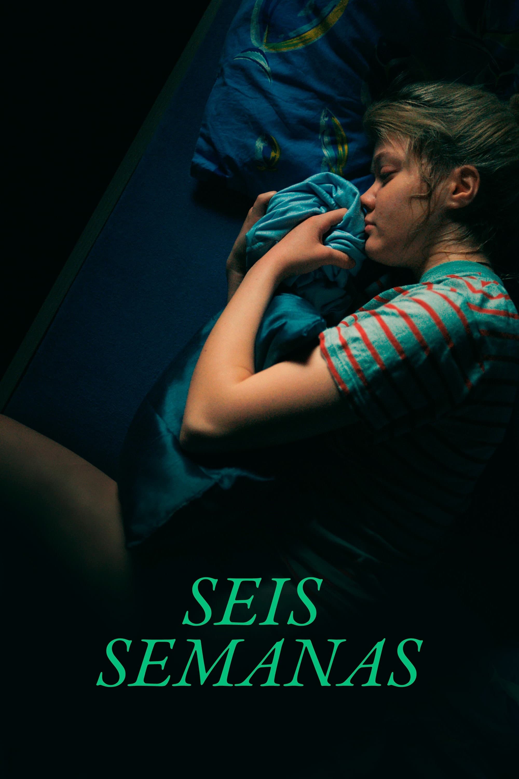 Poster de Seis Semanas