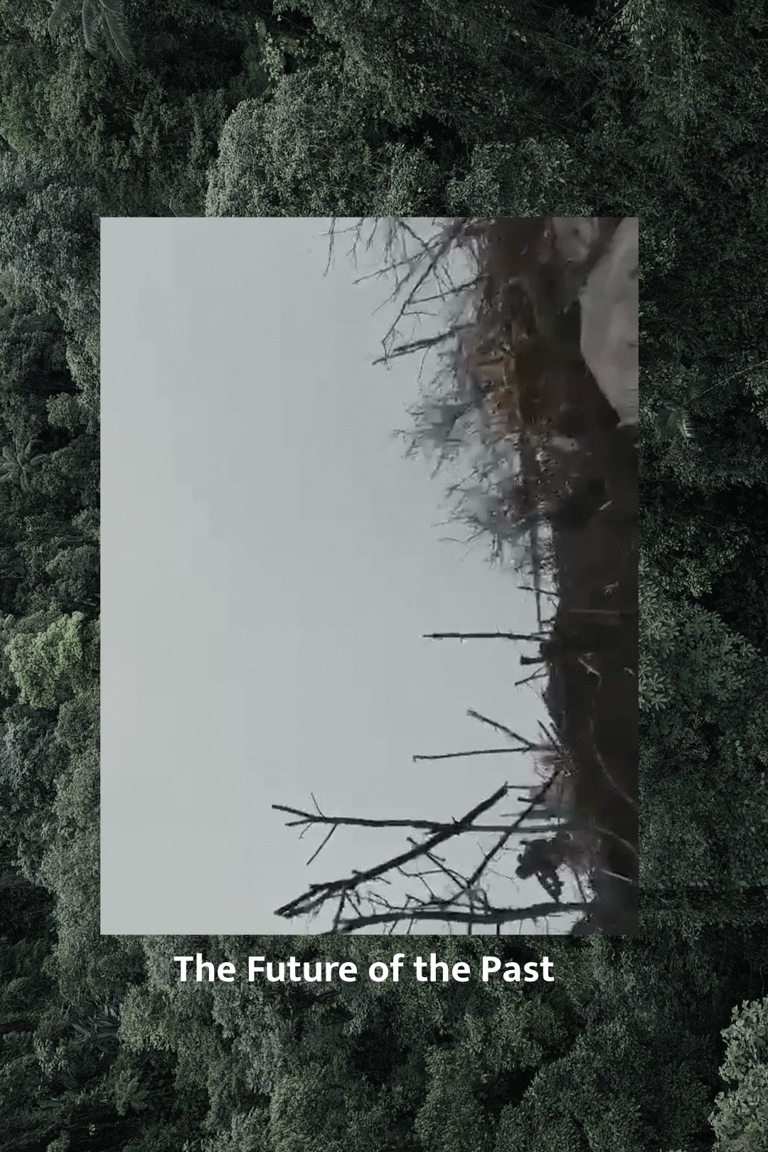 Poster de The Future of the Past