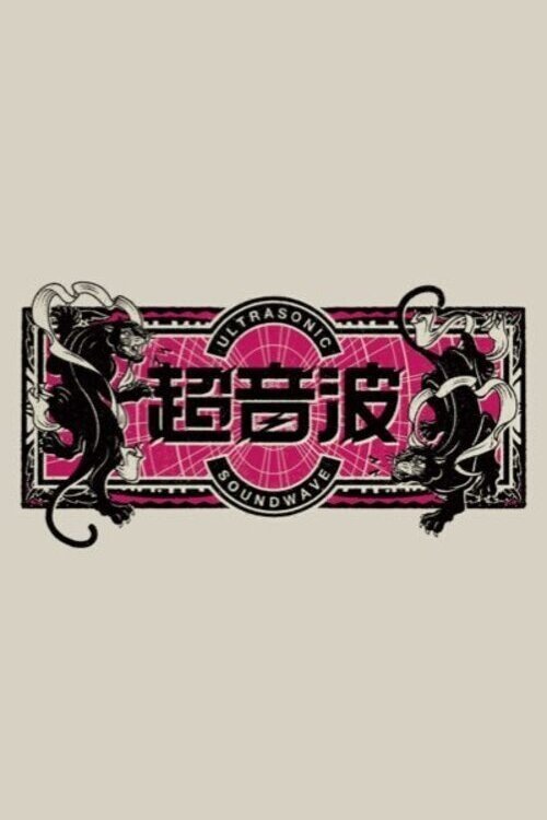 Poster de 超音波