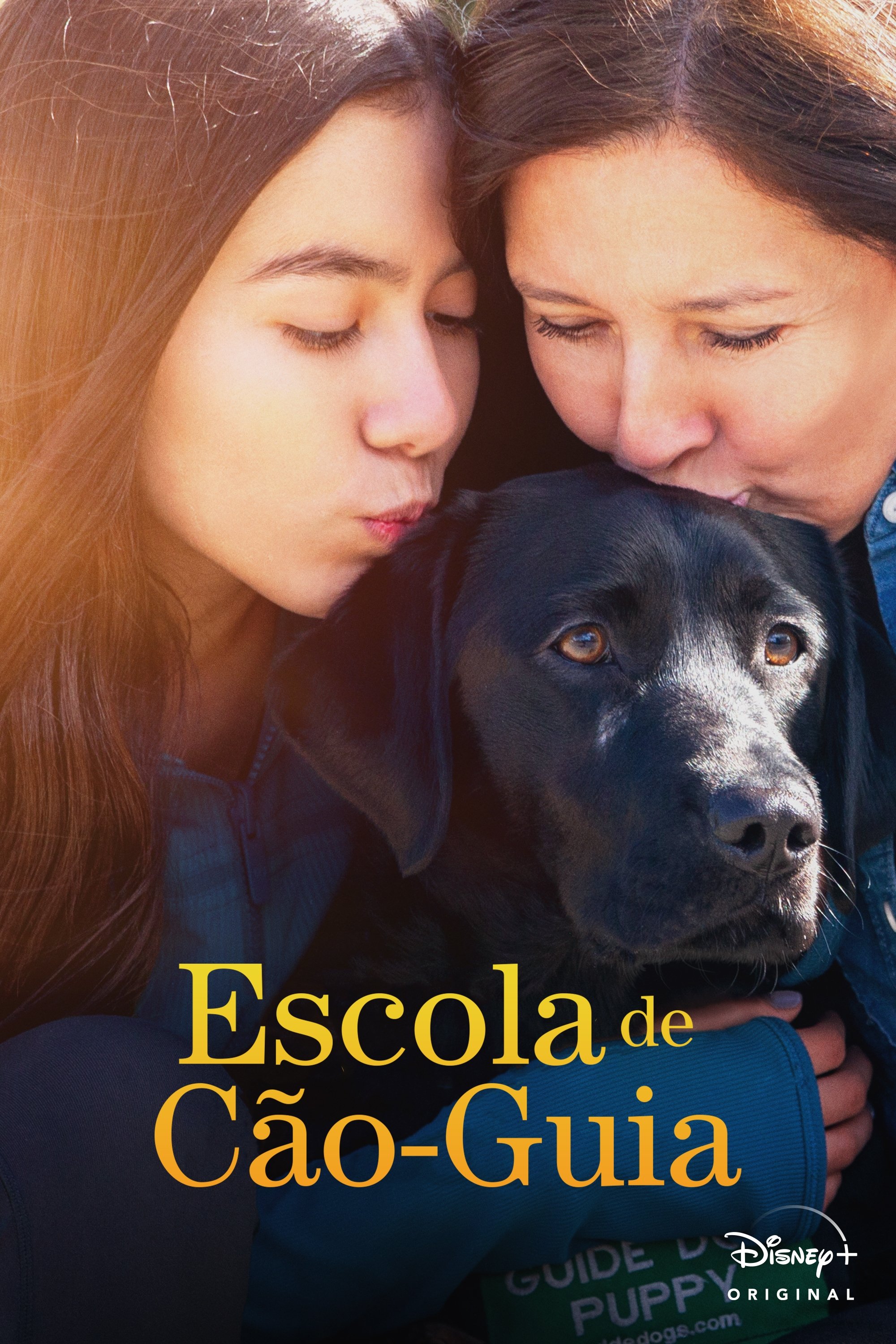 Poster de Escola de Cão-Guia