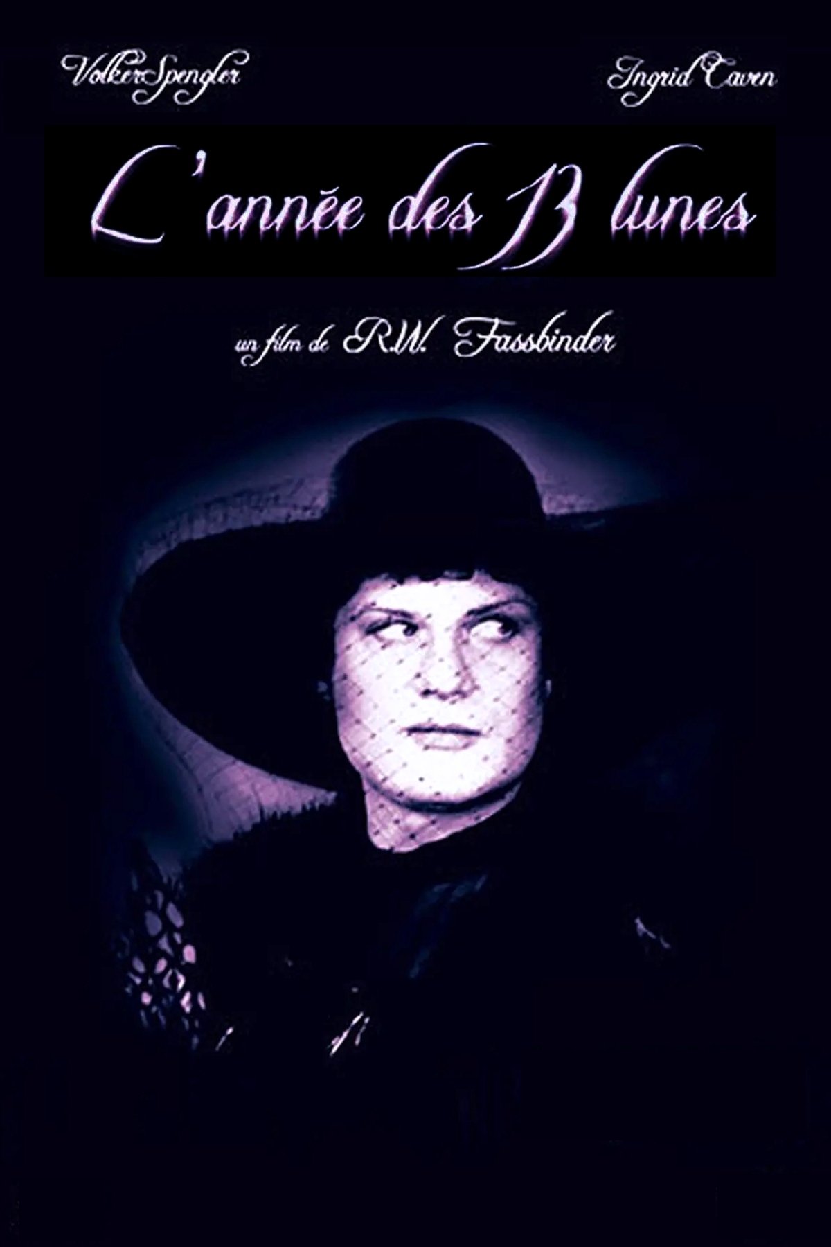Affiche du film In einem Jahr mit 13 Monden