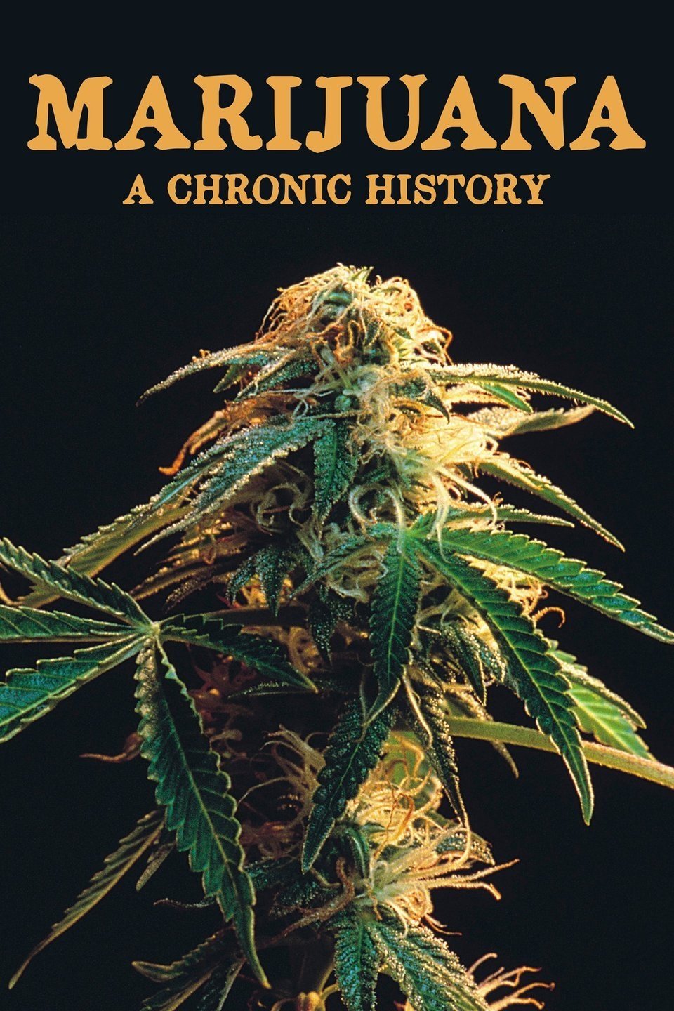 Affiche du film Marijuana: A Chronic History