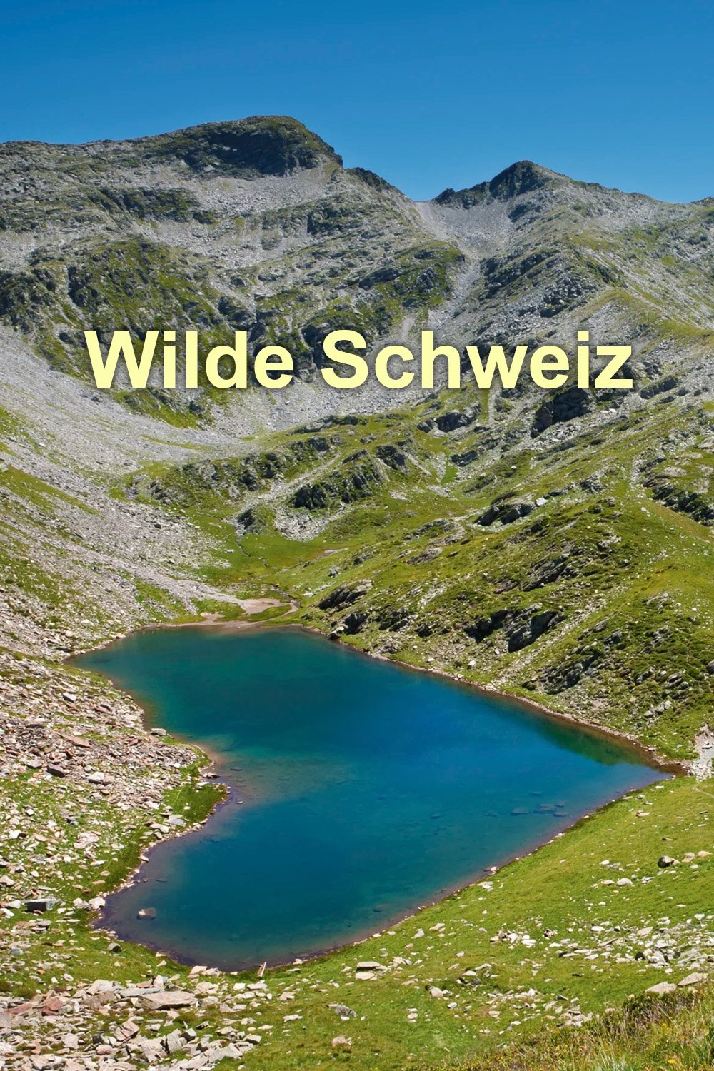 Poster de Wilde Schweiz